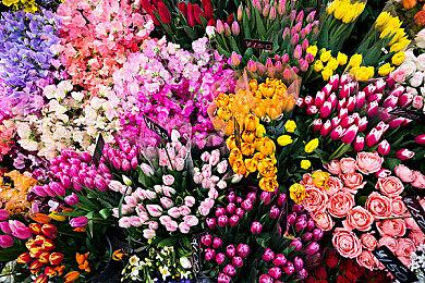 《三角洲行动》Steam首发褒贬不一 当前在线6.5万