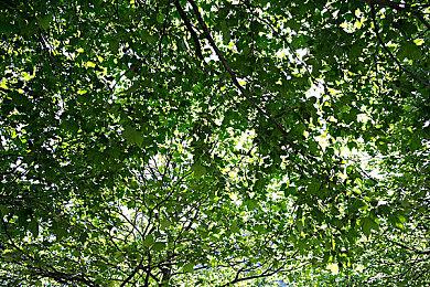 经典街机游戏《坦克大战》现已登陆PS和Switch